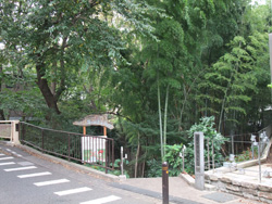 ���ӊ��P