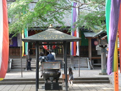 ���ӊ��S